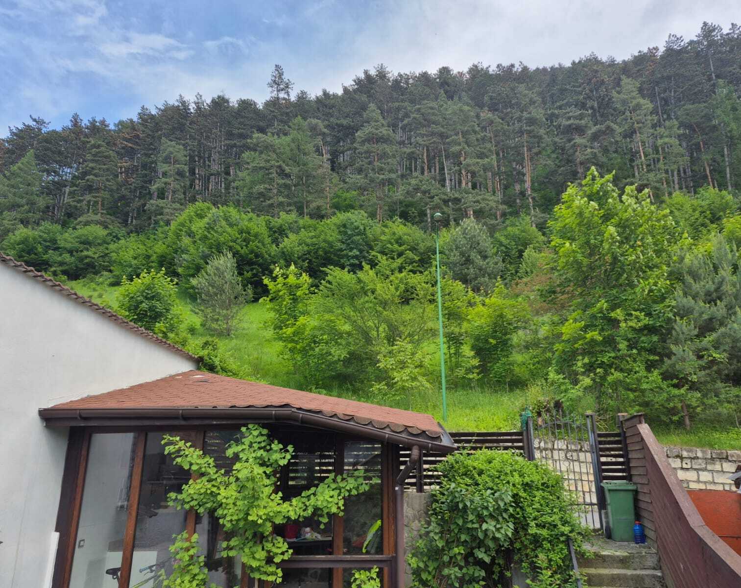 3c51a5ec-3482-49b6-a823-82b23ff8ca28 3c51a5ec-3482-49b6-a823-82b23ff8ca28