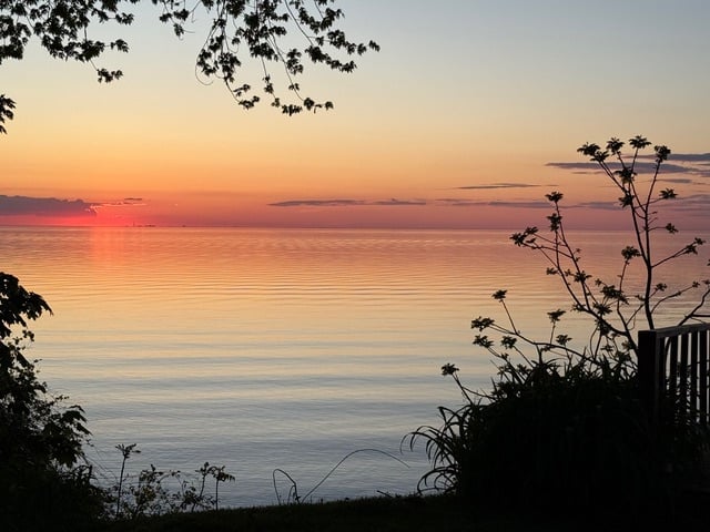 IMG_2615 IMG_2615