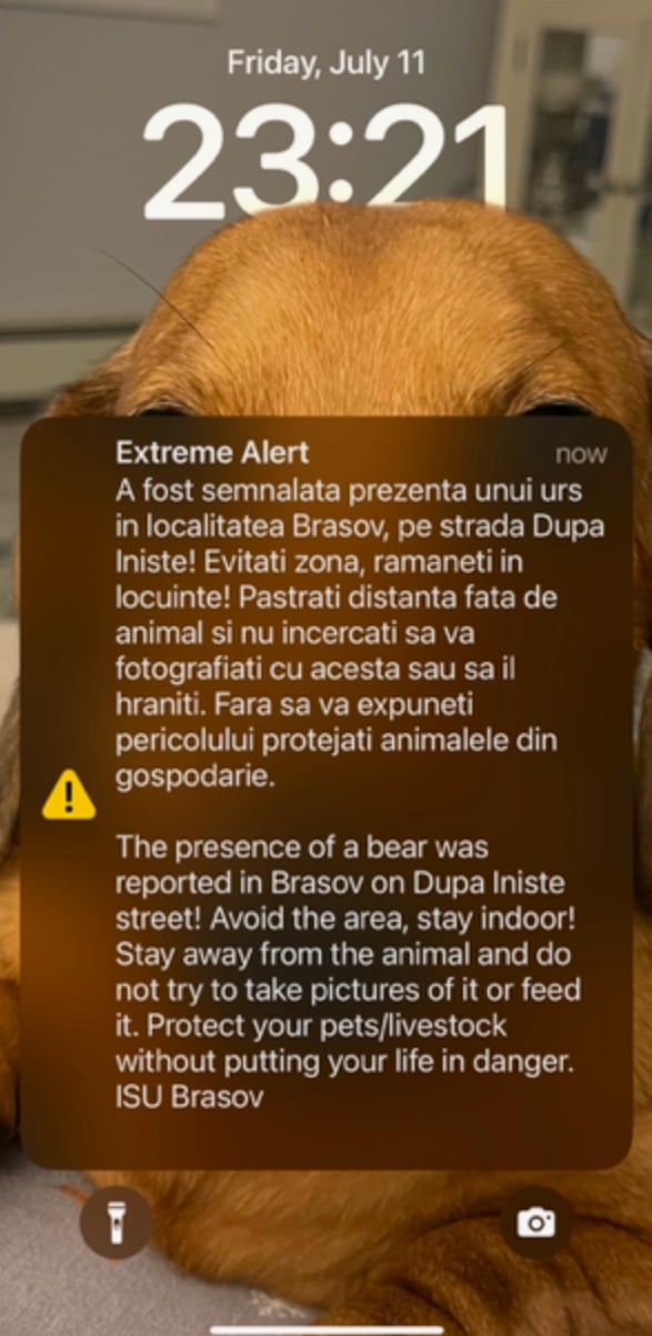 Image 11-19-25 at 7.42 PM