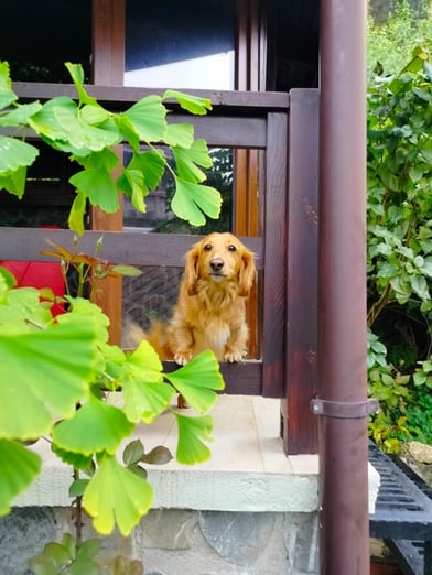 WhatsApp Image 2025-10-15 at 11.58.04 WhatsApp Image 2025-10-15 at 11.58.04