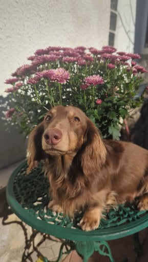 WhatsApp Image 2025-10-30 at 13.47.00 WhatsApp Image 2025-10-30 at 13.47.00